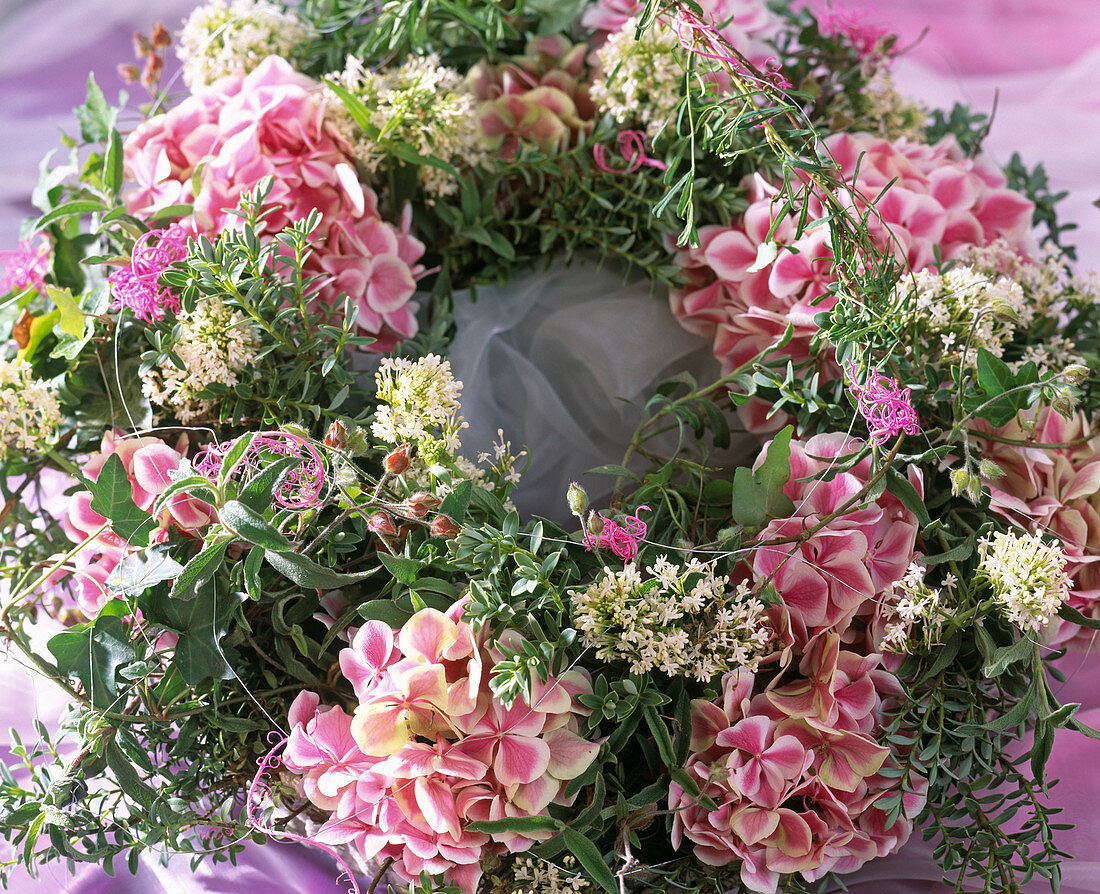 Kranz aus Hydrangea 'Lady Tokio Pink' (Hortensie)