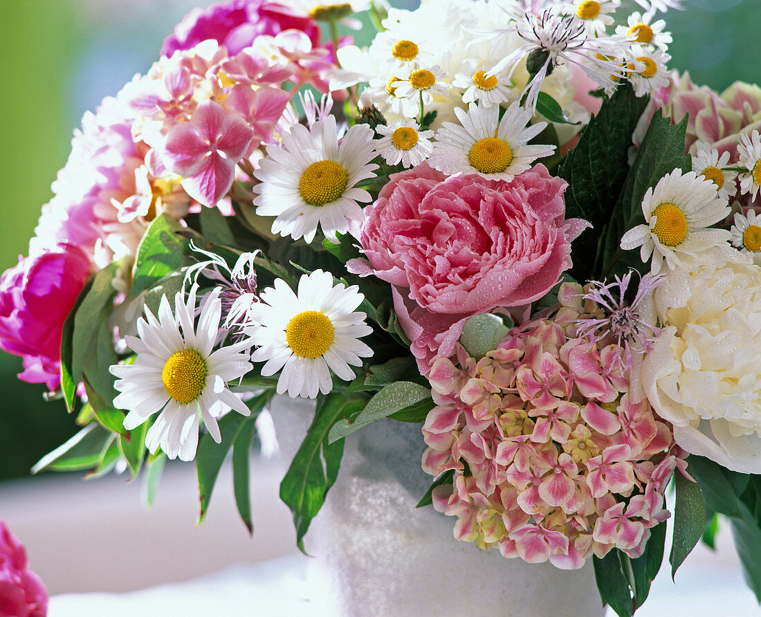 Bouquet of daisies, peonies, hydrangea and knapweeds