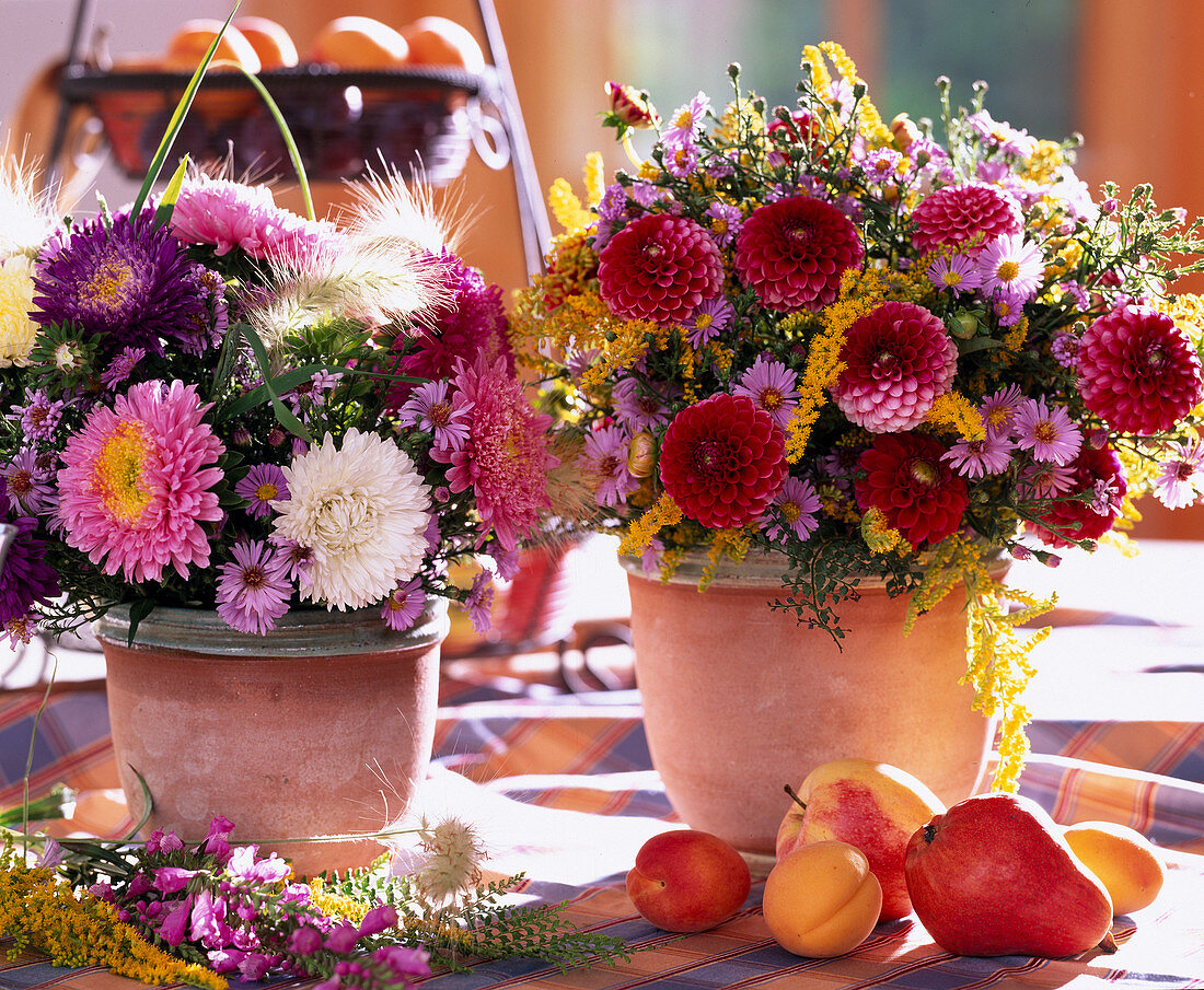 Callistephus (Sommeraster), Dahlien, Solidago (Goldrute)