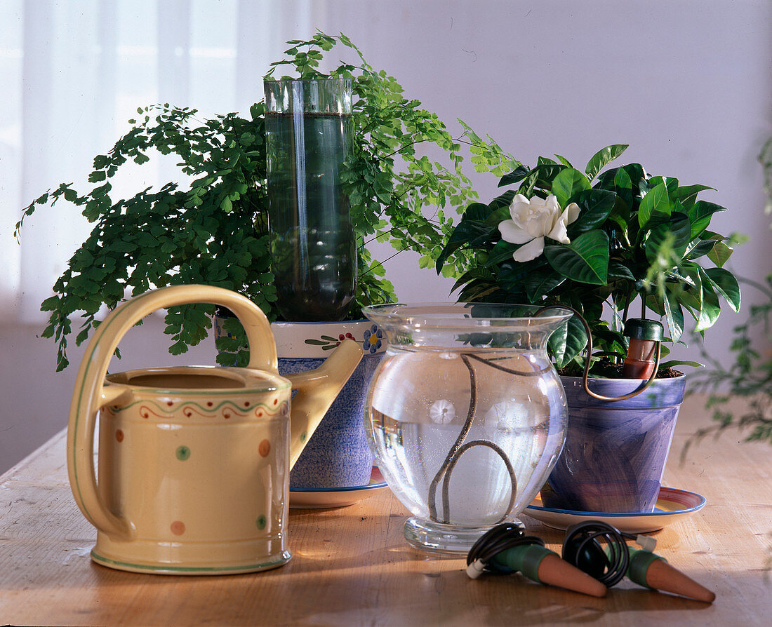 Holiday watering with water bottle