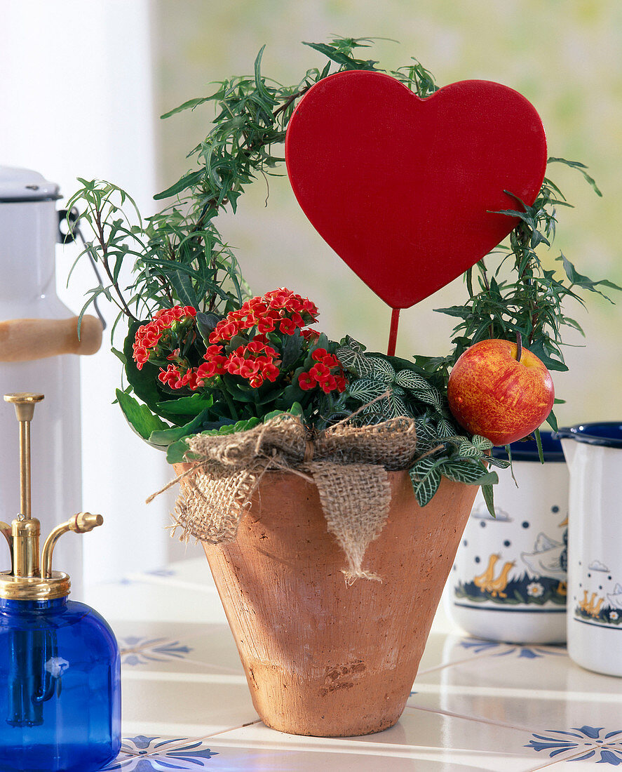 Terracotta pot with flaming chickweed and heart plug