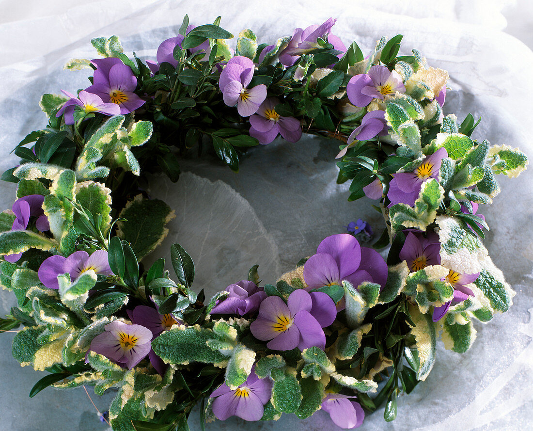 Wreath made of hornbeam flowers, Box, pineapple mint