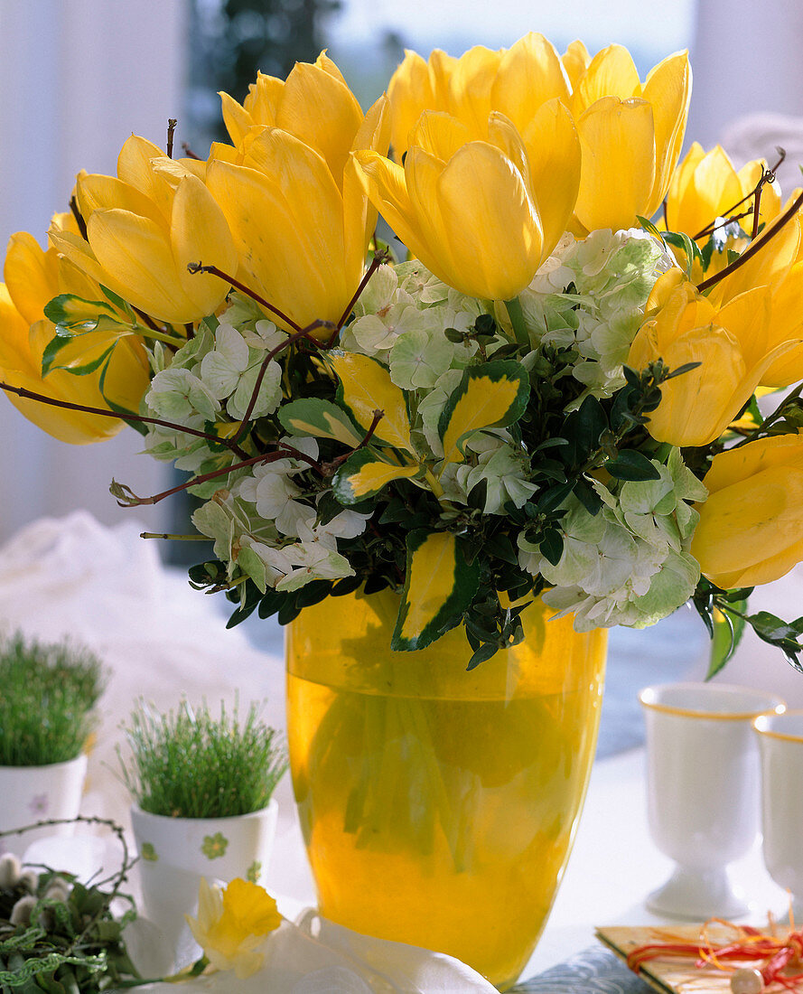 Yellow tulips, hydrangea flowers
