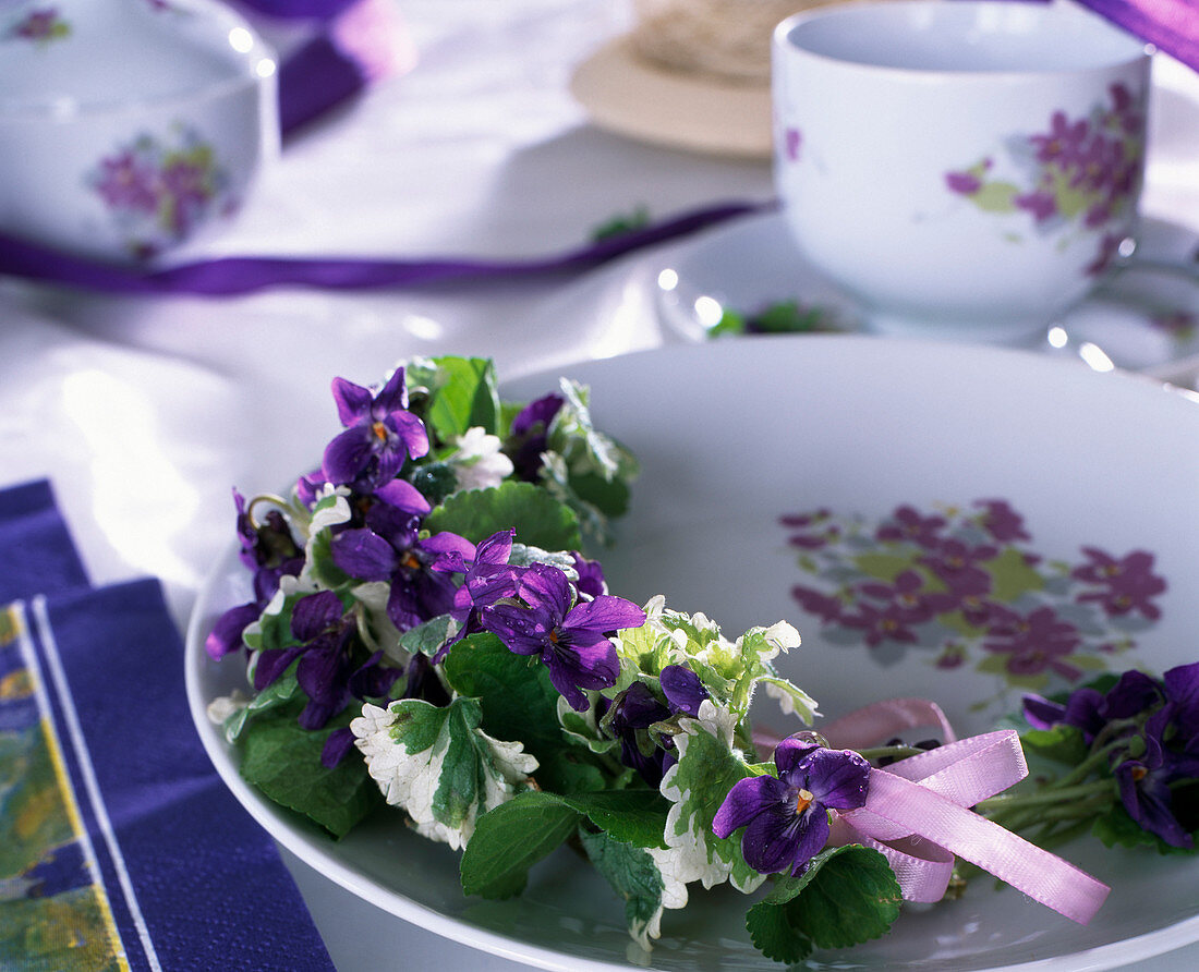 Plate containers with fragrant violets and white-coloured Hedge maids