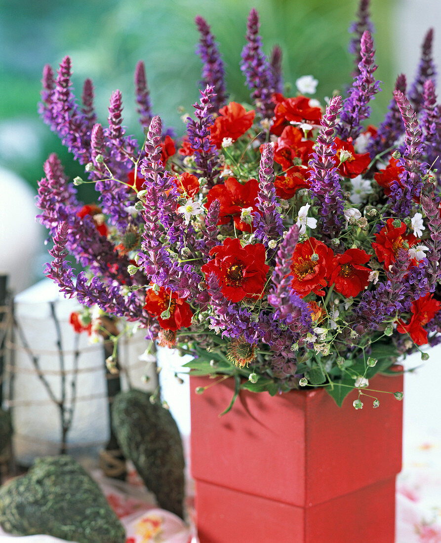 Bouquet with Salvia nemorosa, Geum (carnation root)