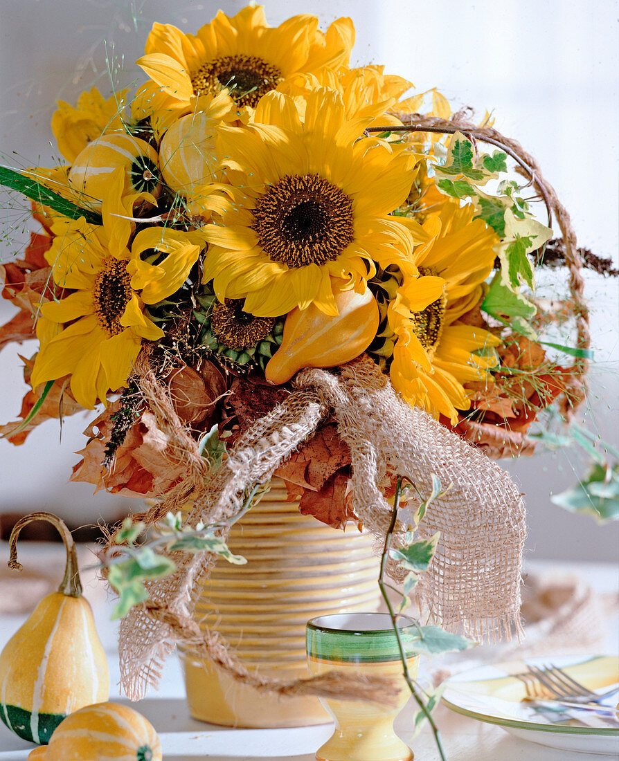 Helianthus annuus (sunflower, ornamental squash, autumn leaves)