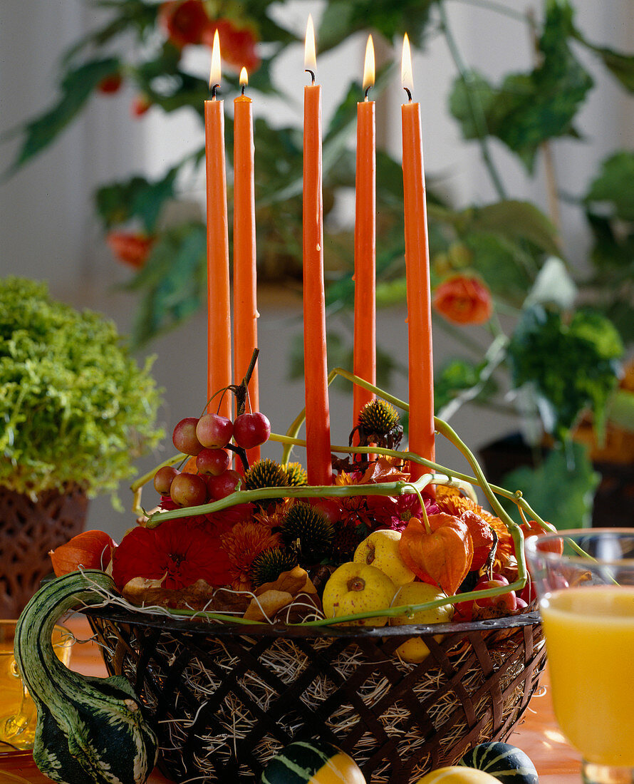 Basket with ornamental quinces (Chaenomeles), Malus, Physalis, Rudbeckia, ornamental pumpkin