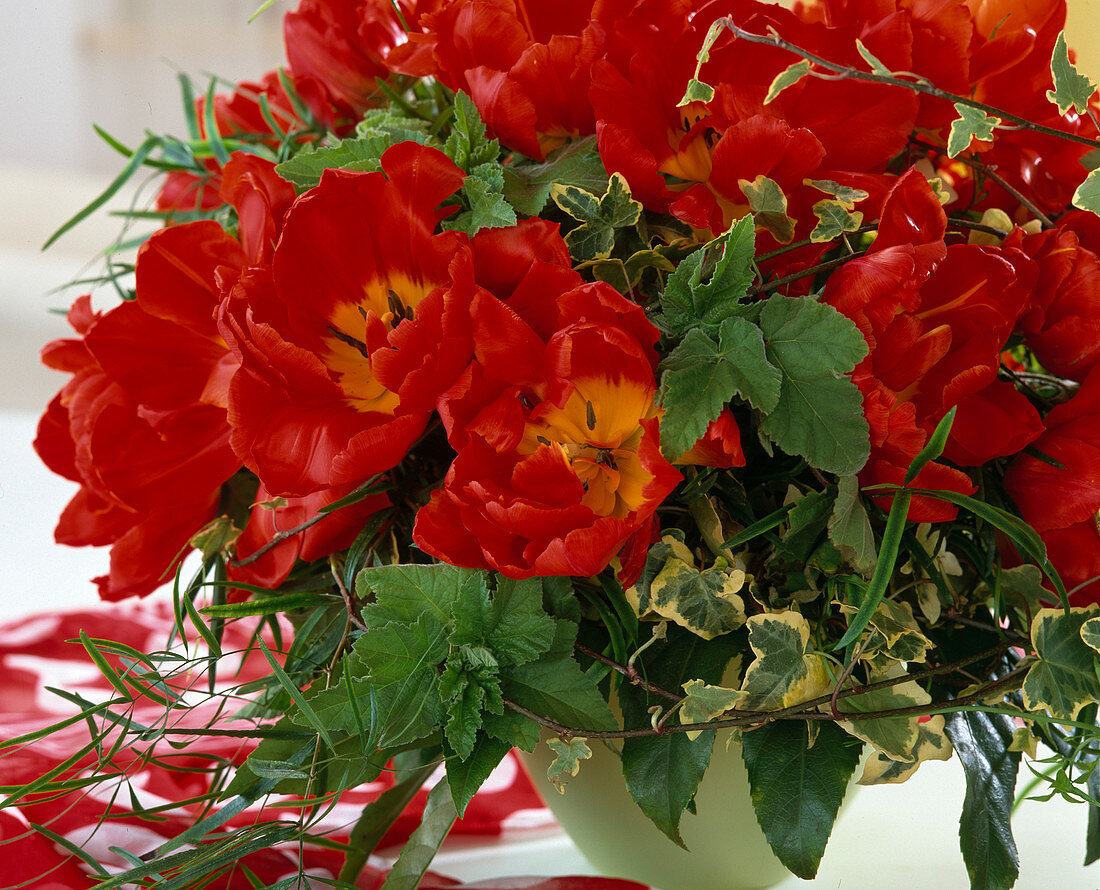 Bouquet of tulips