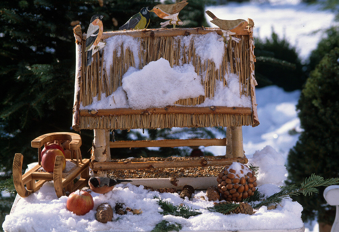 Bird house in winter