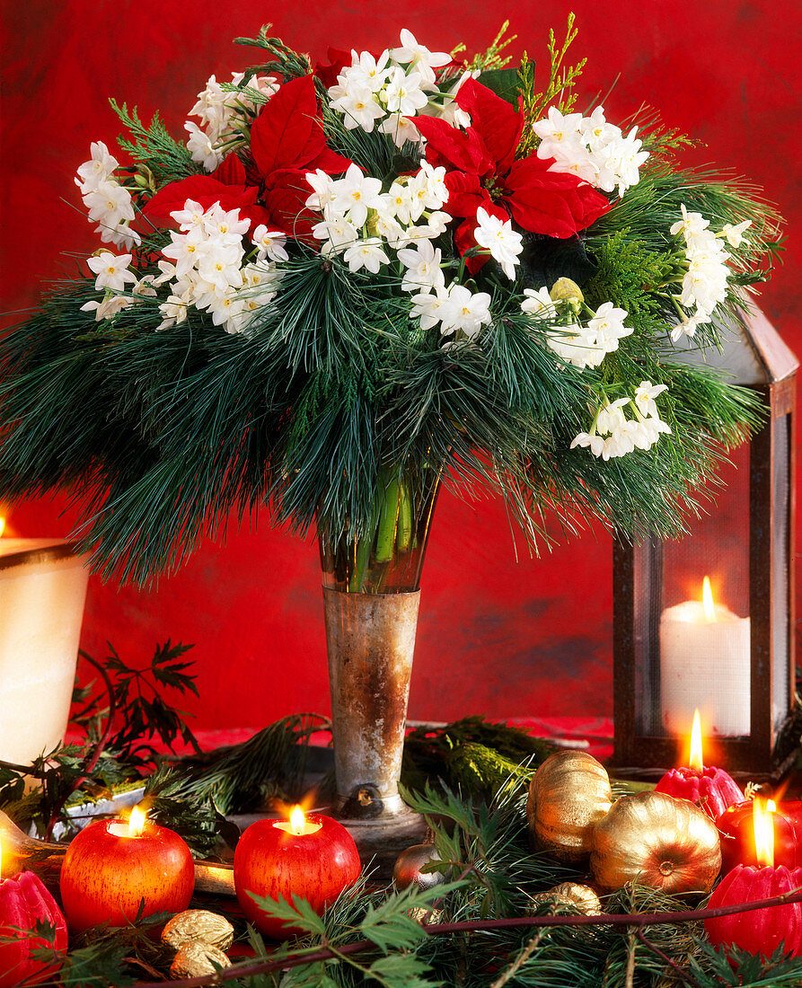 Weihnachtsstrauß aus Tazett-Narzissen, Seidenkiefern und Weihnachtssternblüten