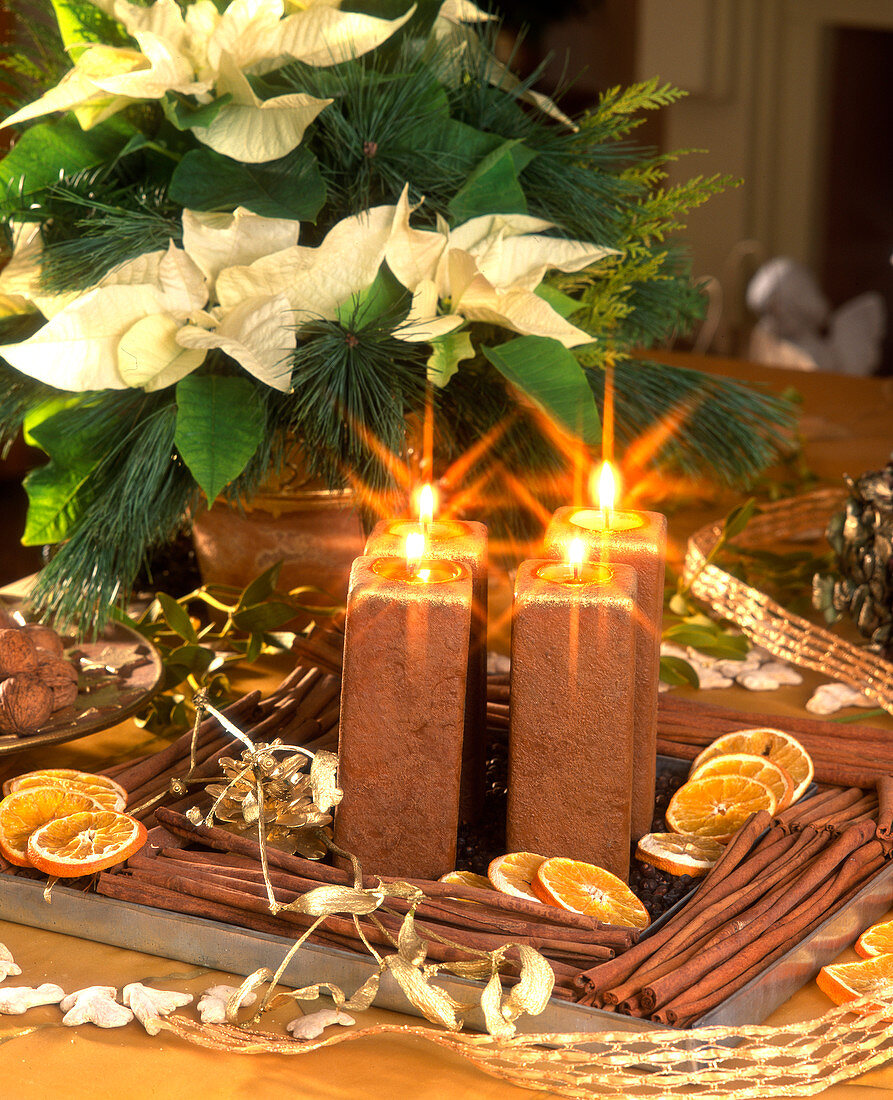 Coaster with cinnamon sticks and Advent candles