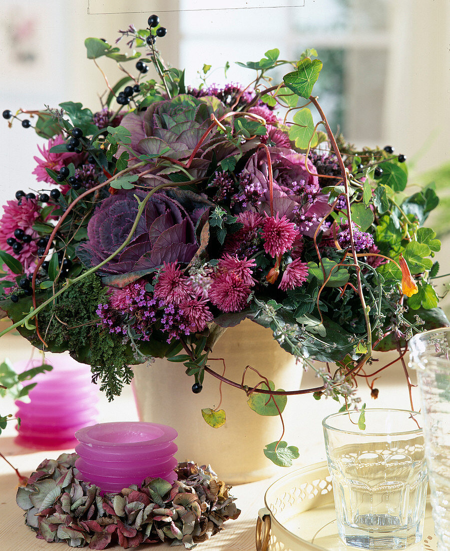 Brassica oleracea (ornamental cabbage), Dendranthema, Verbena bonariensis, privet berries