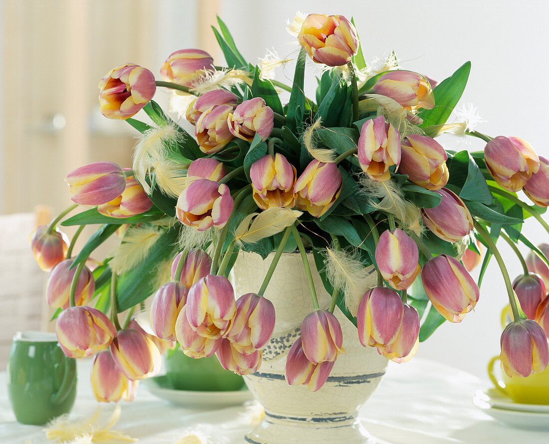 Bouquet of tulips