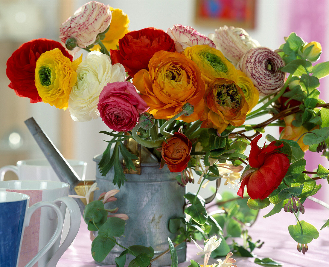 Gießkanne als Vase mit Ranunkelblüten, Lonicera (Je länger- je lieber)