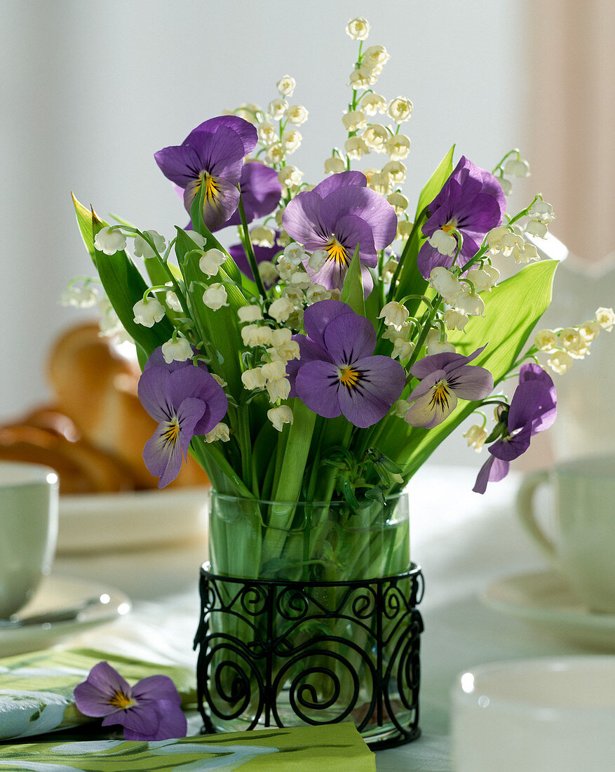 Viola cornuta (Horned Violet), Convallaria majalis (Lily of the Valley)