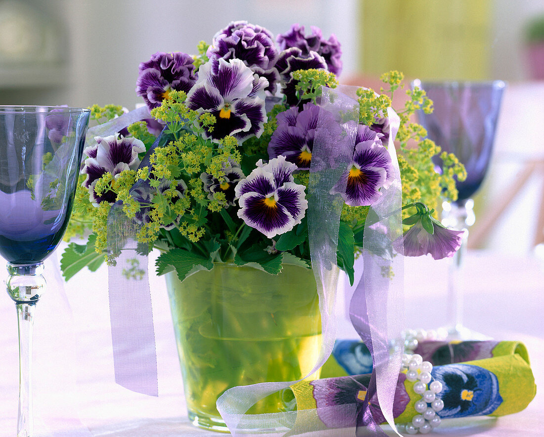 Viola wittrockiana 'Orchi Blue-White' (Pansy)