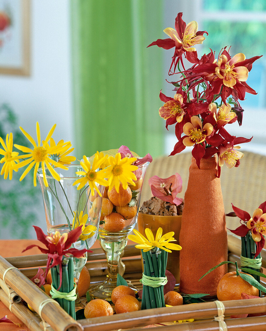 Aquilegia (columbine), Euryops (yellow daisy), Bougainvillea