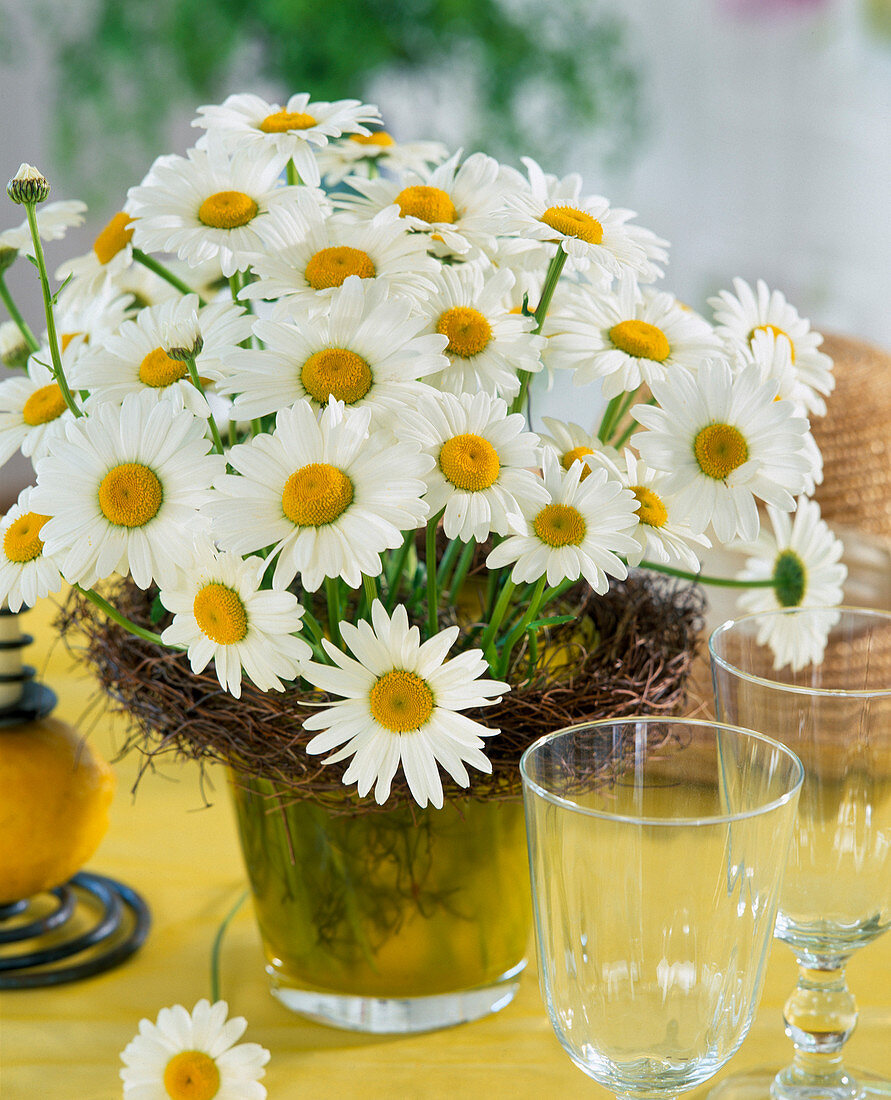 Bouquet of daisy flowers