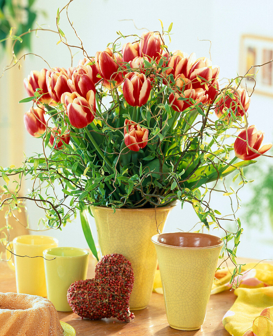 Tulip bouquet (Tulipa hybrid), heart