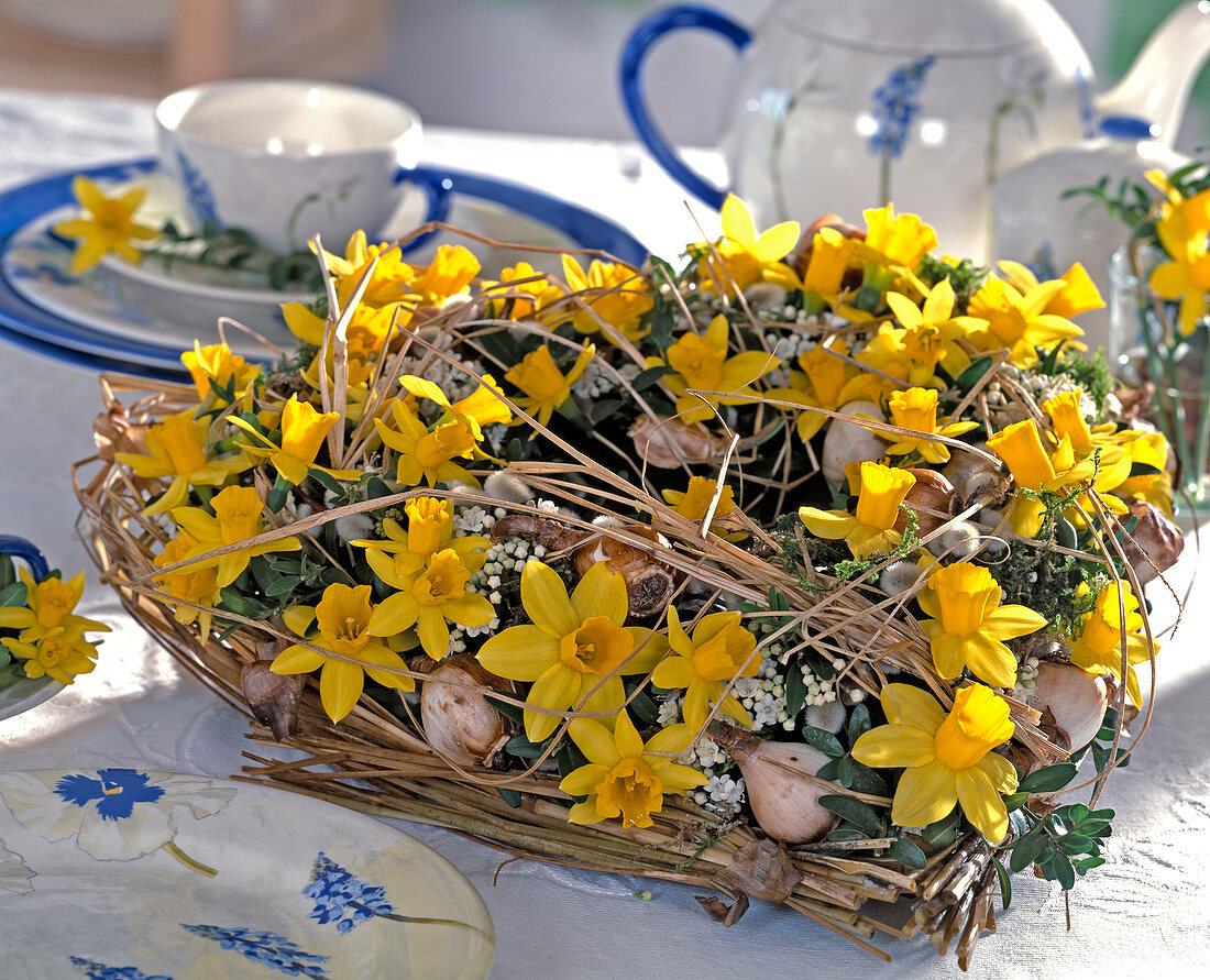 Heart-shaped wreath with Narcissus 'Tete a Tete', box branches