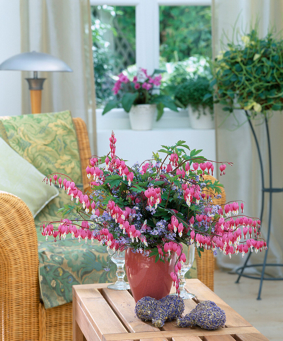 Dicentra spectabilis (Weeping Heart), Myosotis (Forget-me-not)