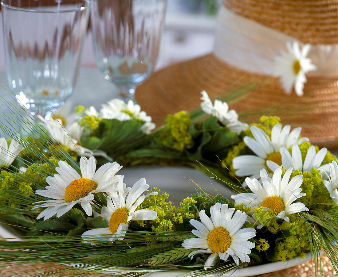 Kranz aus Leucanthemum (Margeriten), Alchemilla