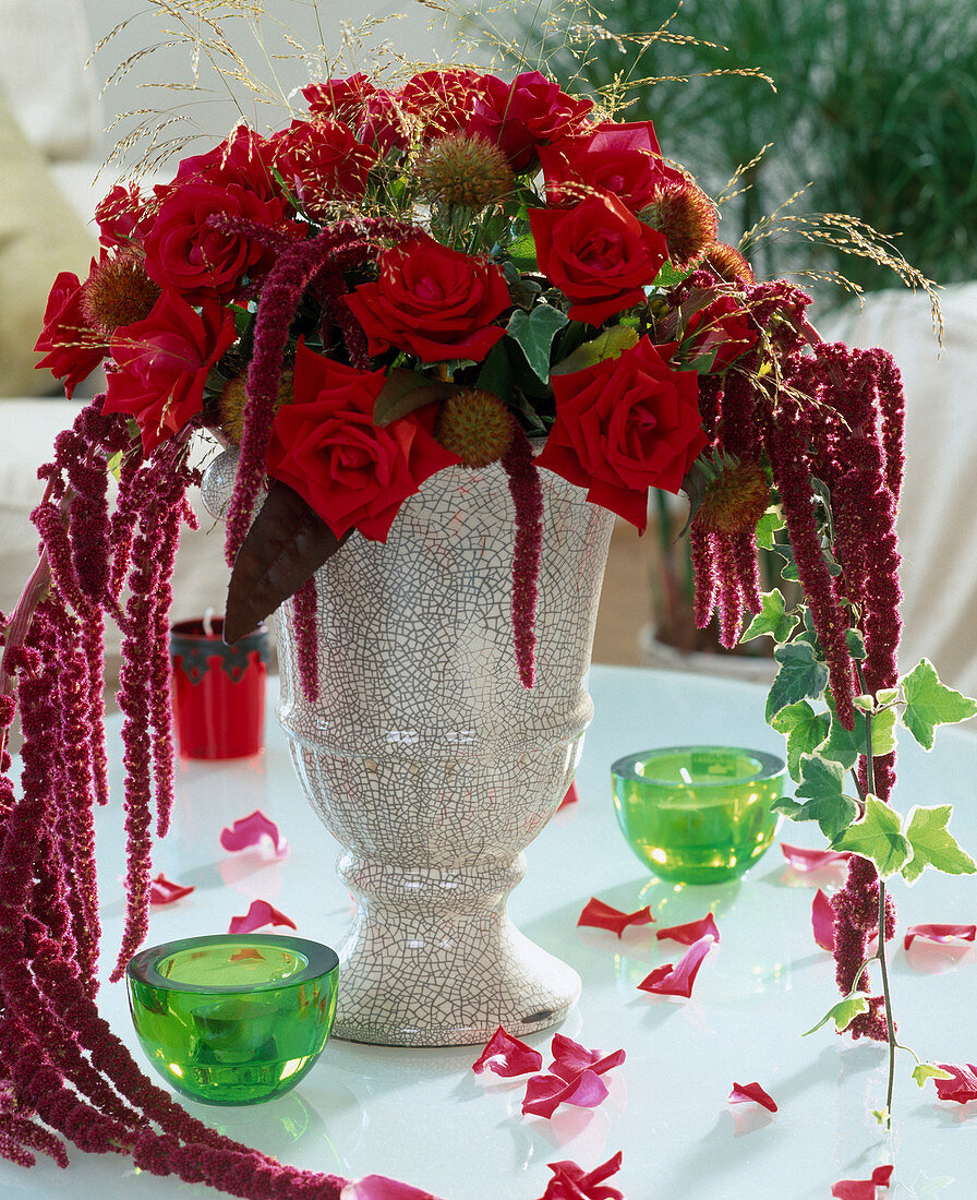 Rosenblüten, Amaranthus (Fuchsschwanz), Fruchtstände von