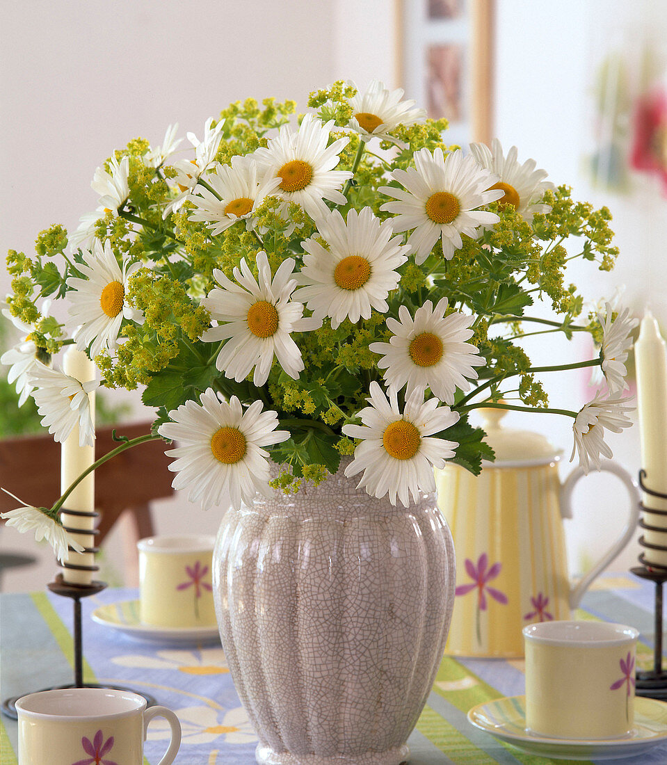 Early summer bouquet of daisies and lady's mantle