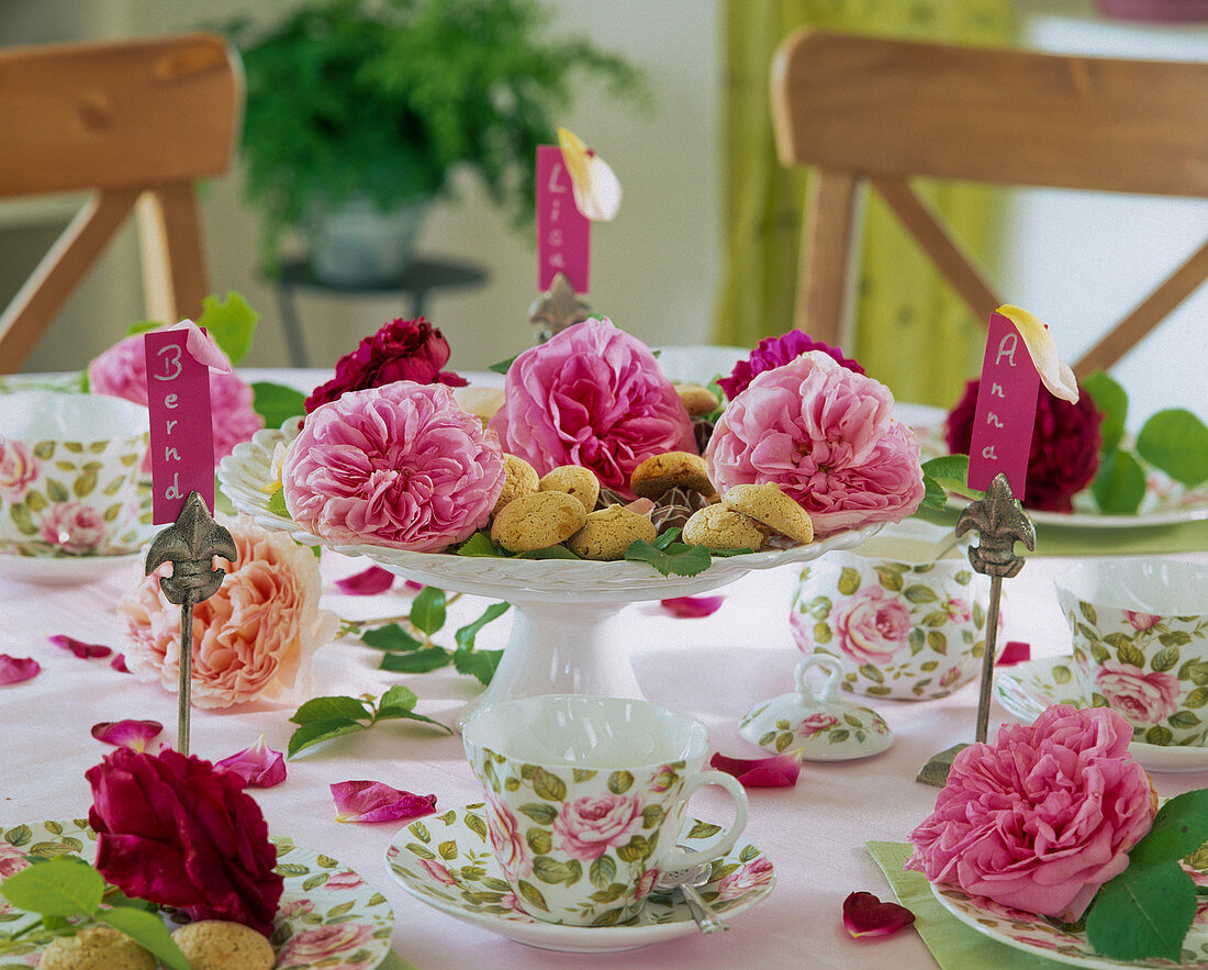 Rosenblüten von historischen Rosen