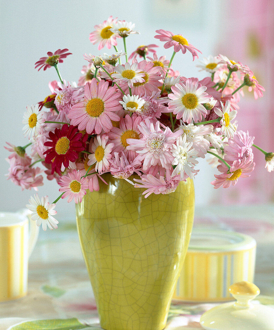 Strauß aus Margeritenblüten