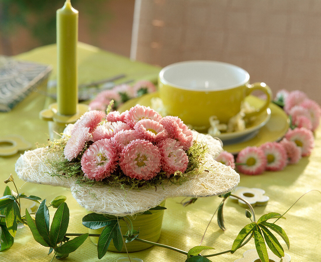 Bellis perennis (daisy) with sisal manchette