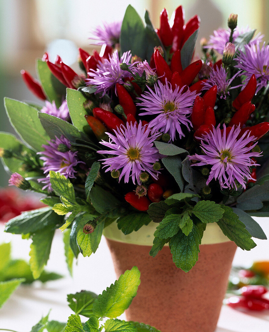 Autumn bouquet of asters, herbs and chillies
