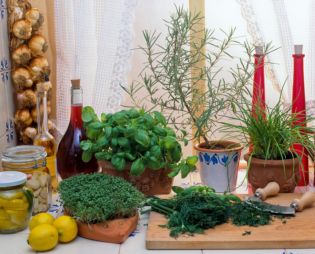 Herbs on windowsill