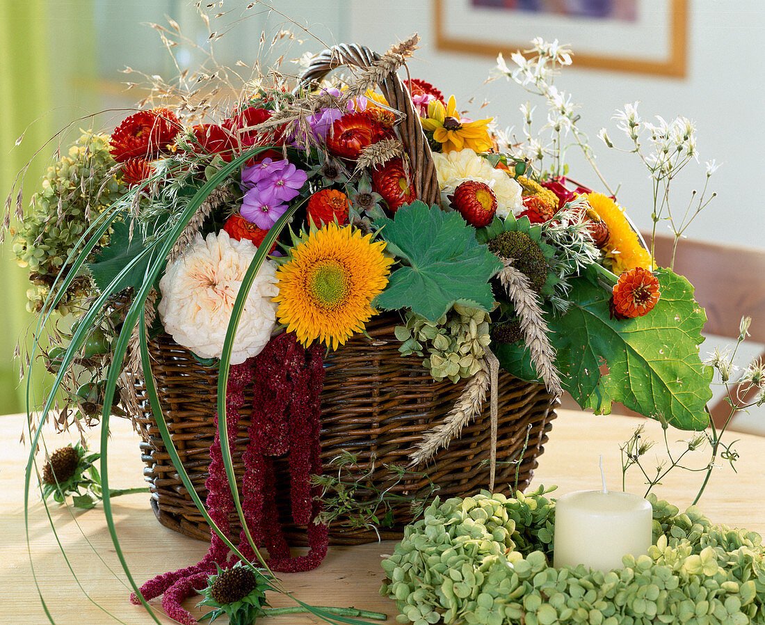 Korb mit Rosen, Helianthus (Sonnenblume), Helichrysum