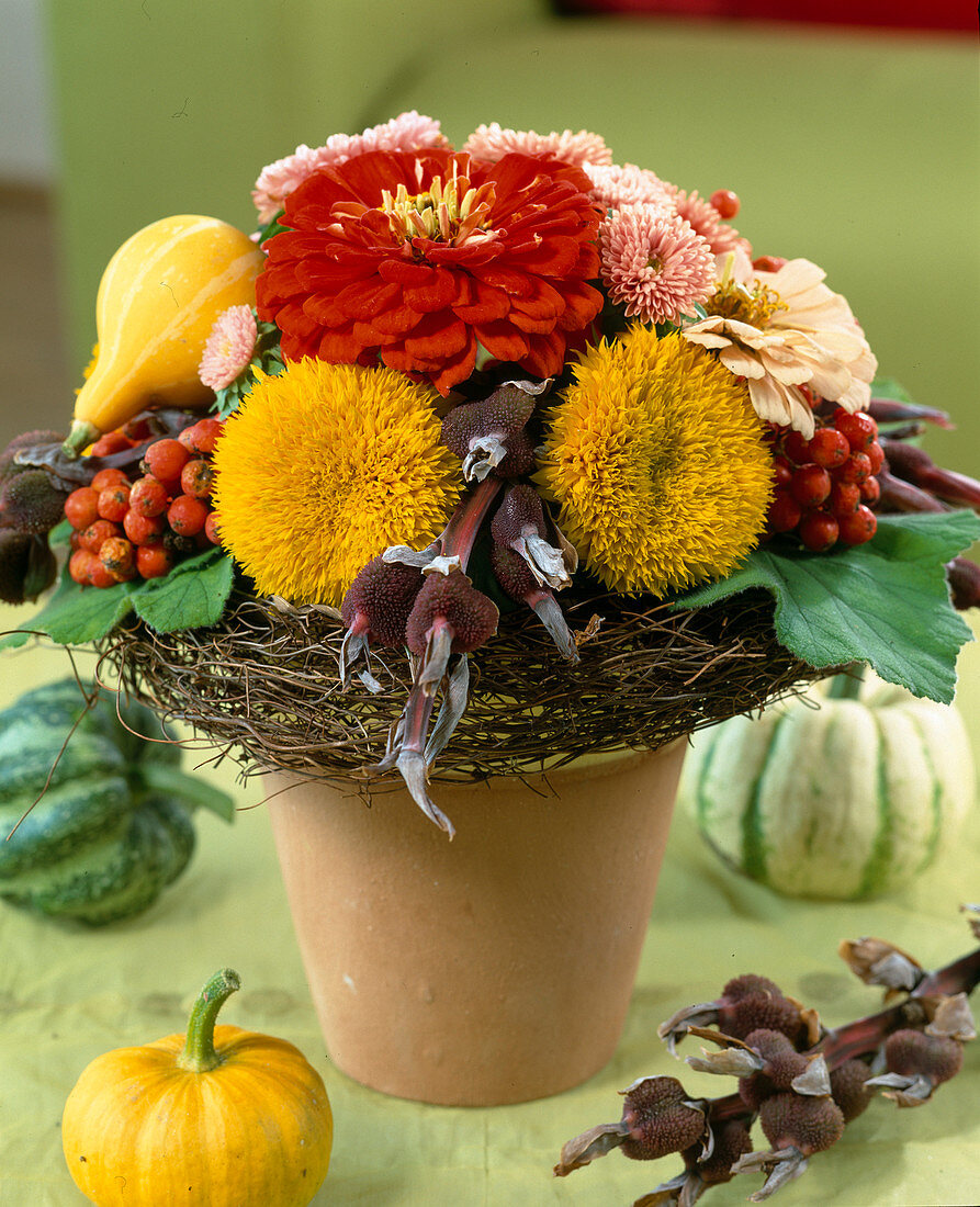 Strauß mit Zinnia elegans, Helianthus 'Santa Fe' (Sonnenblume)