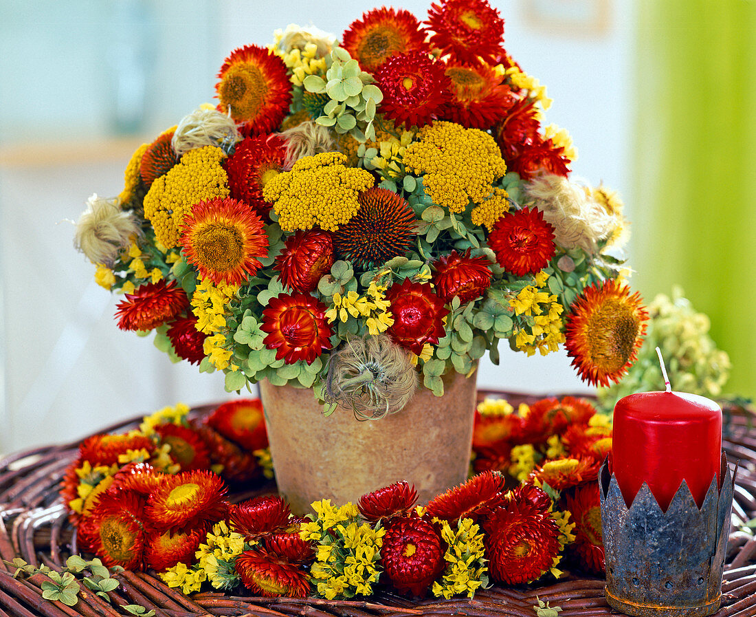 Helichrysum, Hydrangea (Hortensie), Achillea (Schafgarbe)