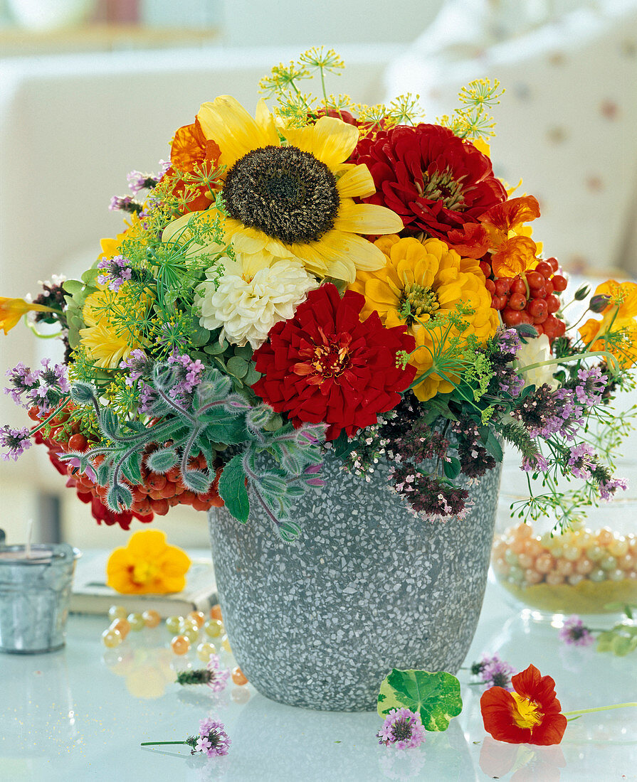 Zinnia elegans (Zinnia), Helianthus (Sunflower), Borage