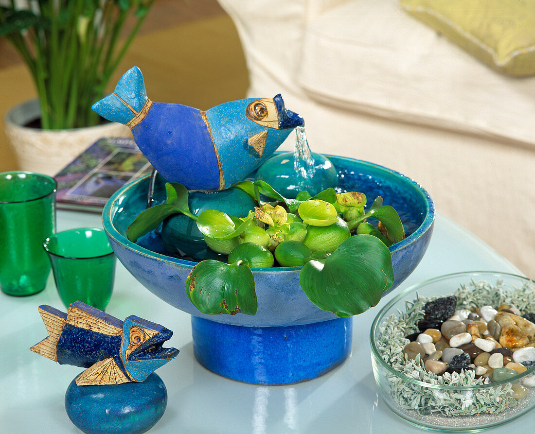 Fish as a fountain with Eichhornia (Water Hyacinth)