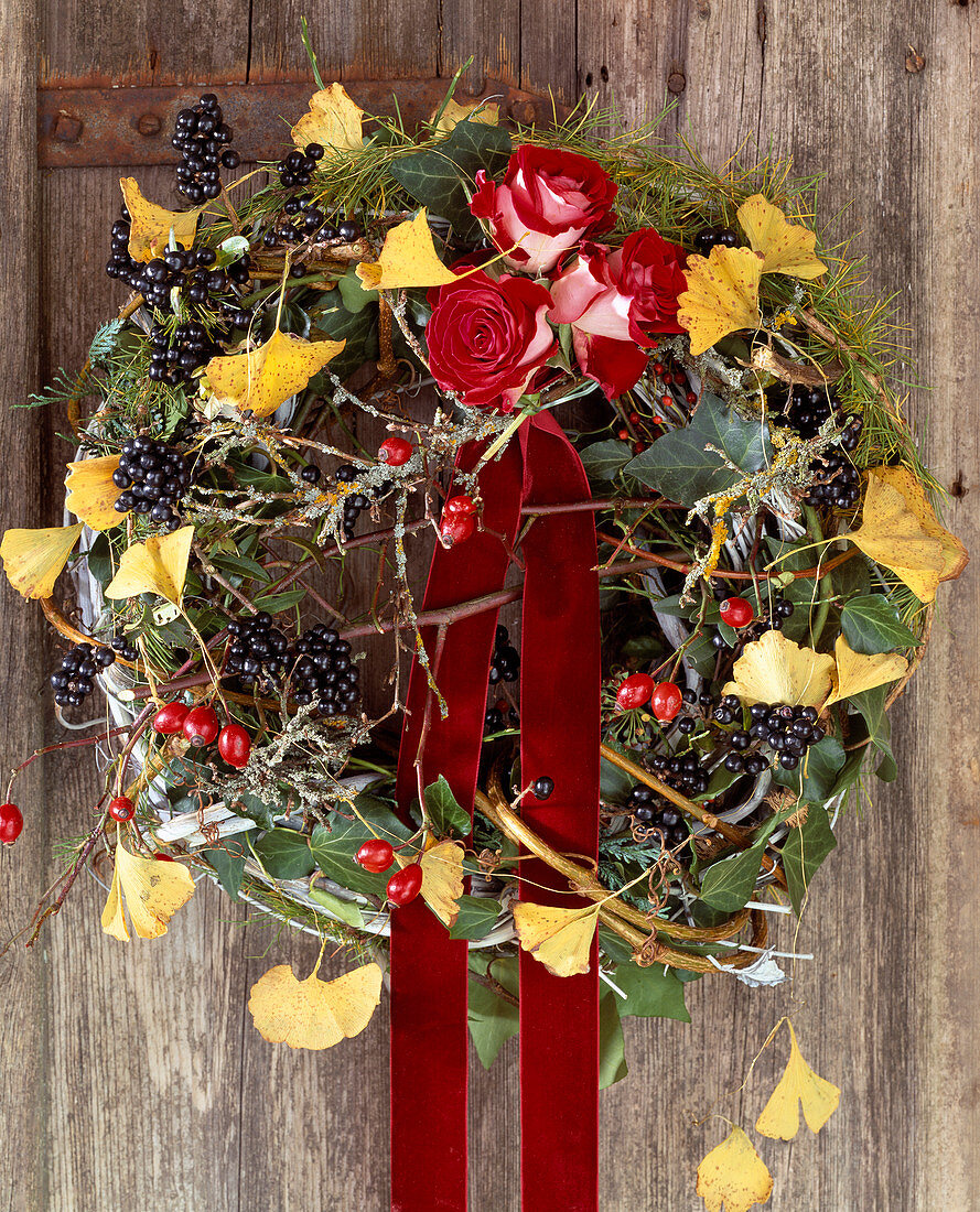 Door wreath: Blank made of wild vine tendrils, privet berries