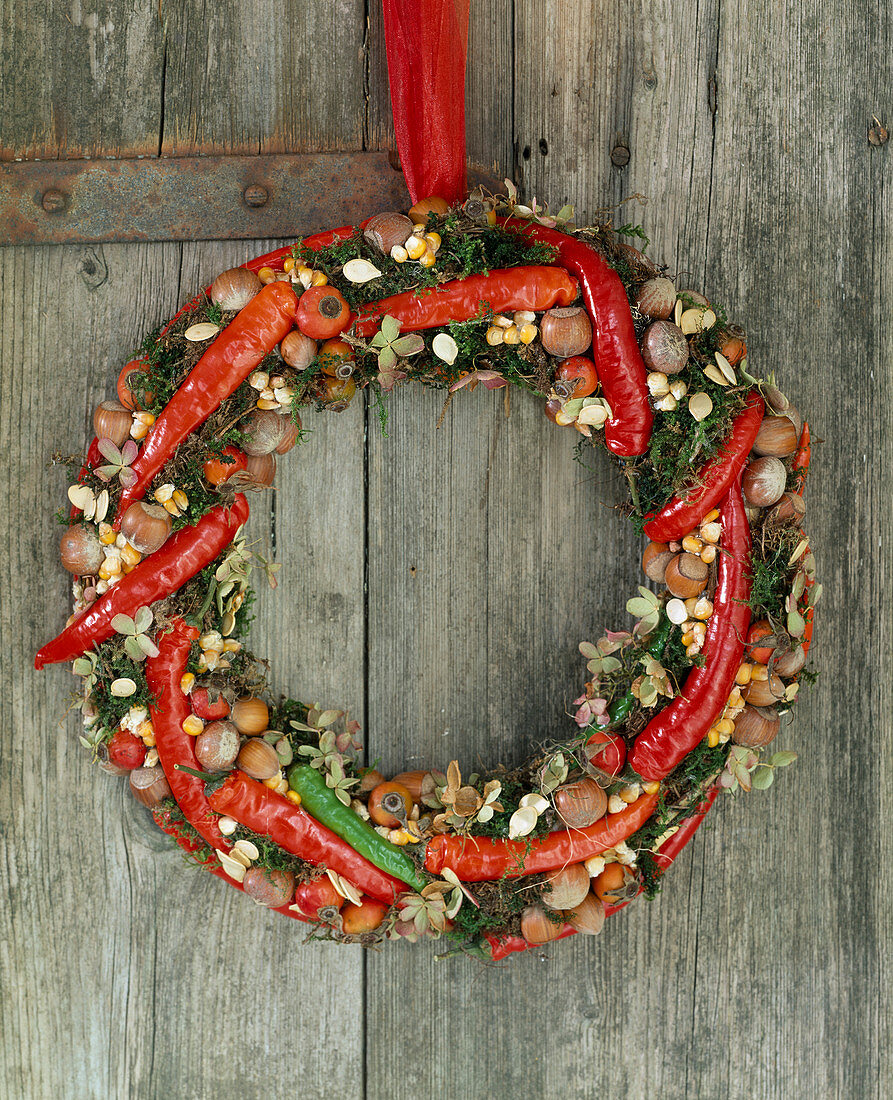 Door wreath. Blank wrapped with moss and decorated with chilli peppers, hazelnuts, corn kernels