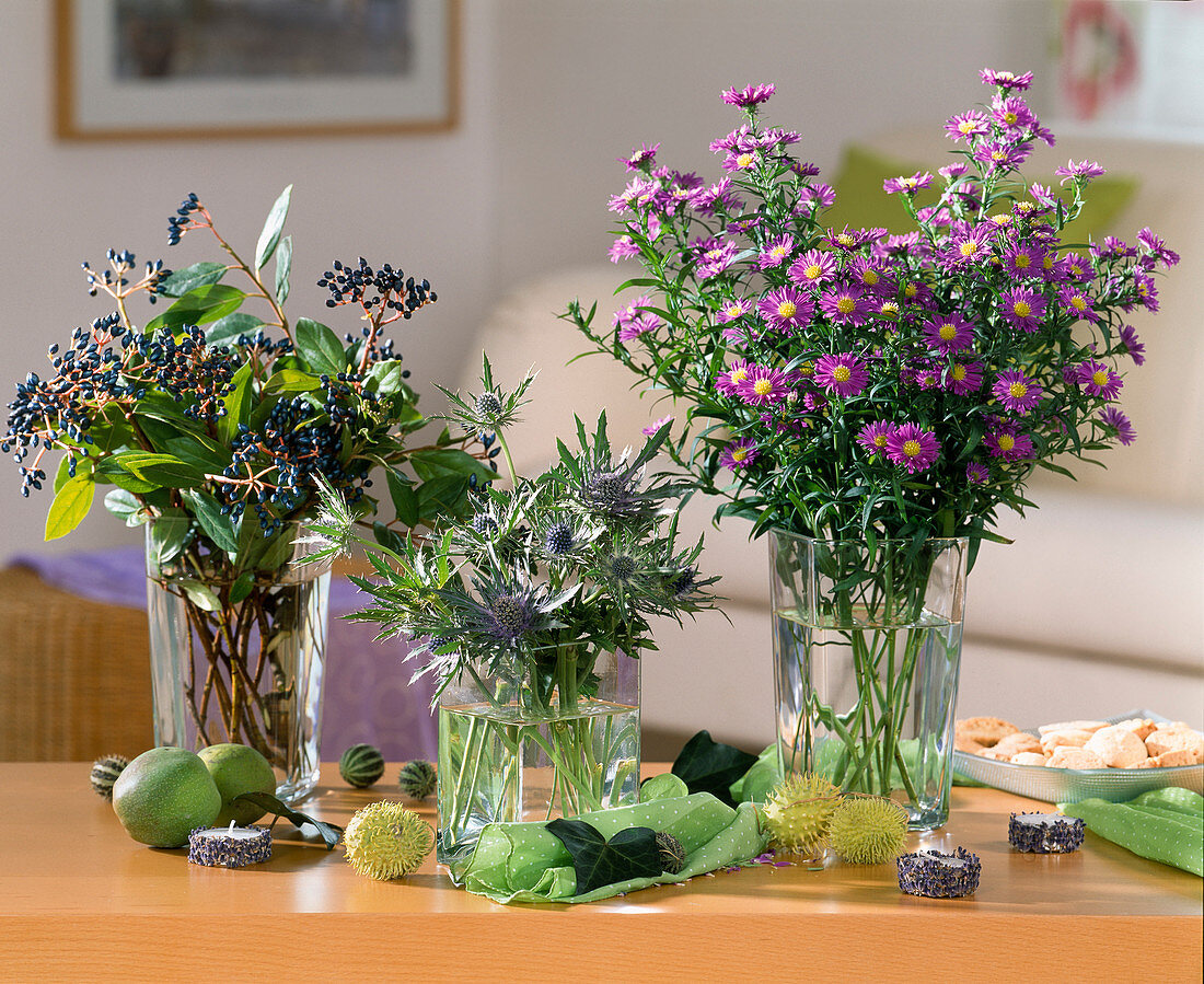 Aster-Hybr. (Herbstastern), Eryngium planum (Distel)