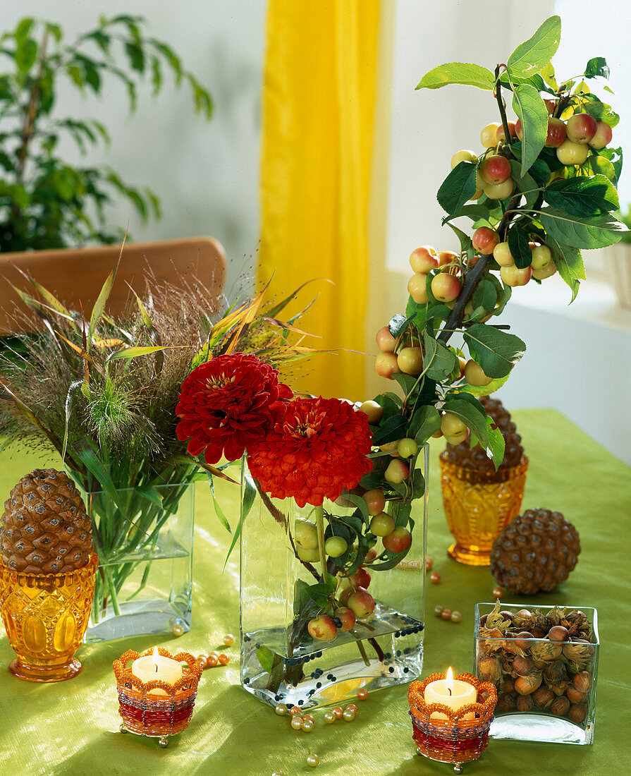 Table decoration with Zinnia elegans, branch with ornamental apples, grasses, pine cones