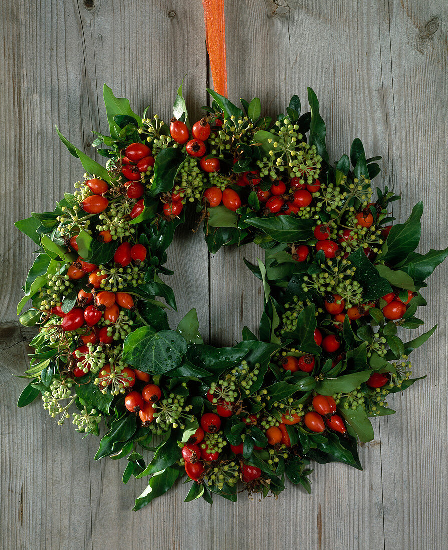 Door wreath of Hedera helix (ivy), pink (rosehip)