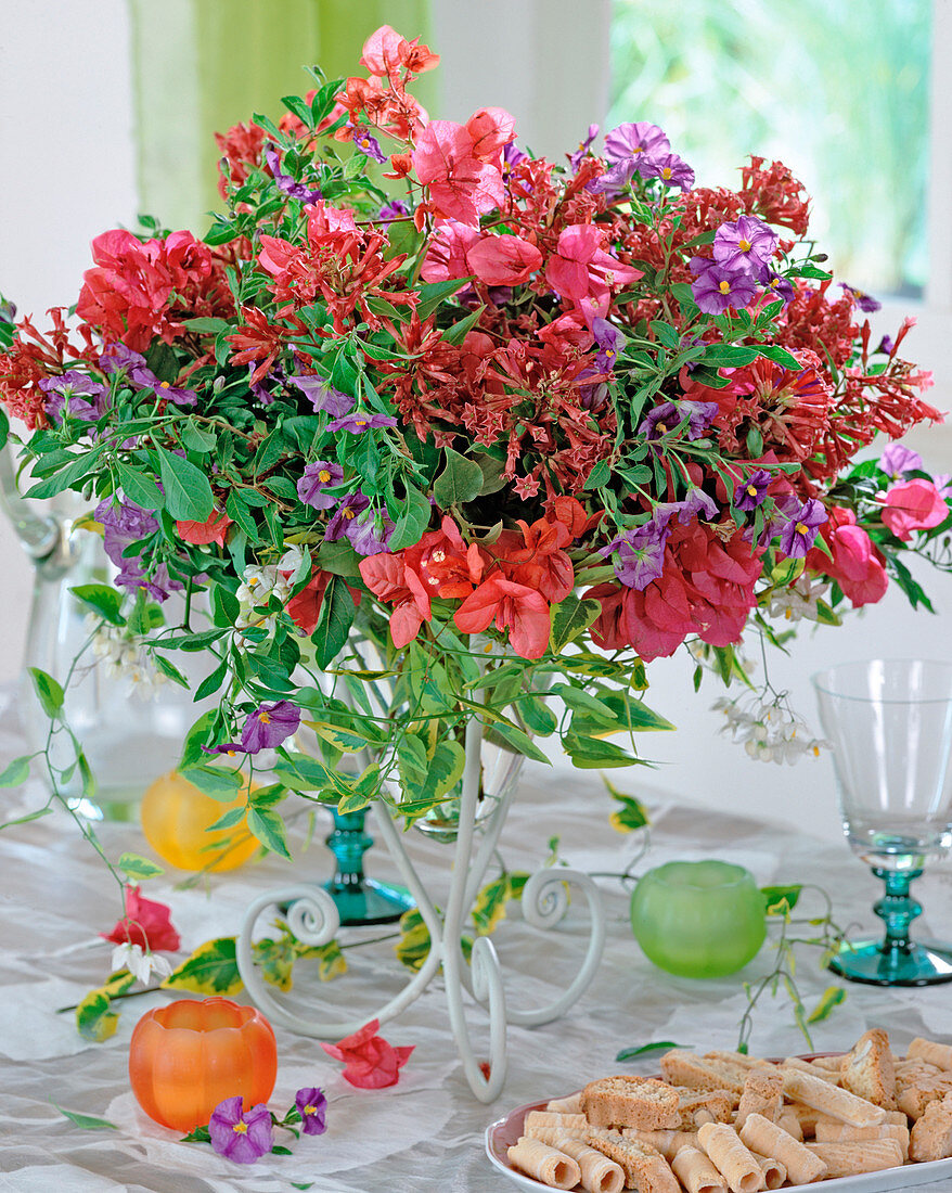 Bouquet of pruning cuttings, Bougainvillea, Solanum