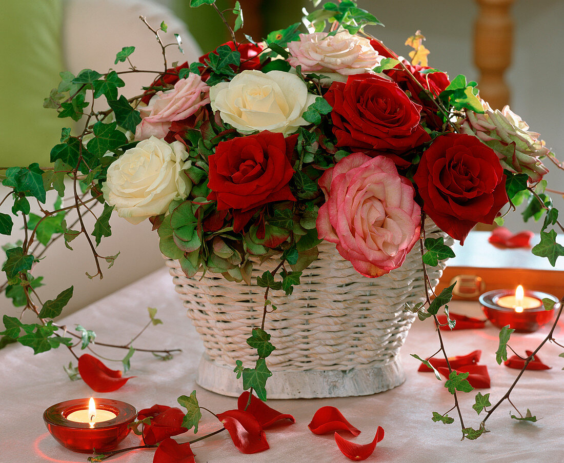 Basket with roses, hydrangea (hydrangea), hedera (ivy)