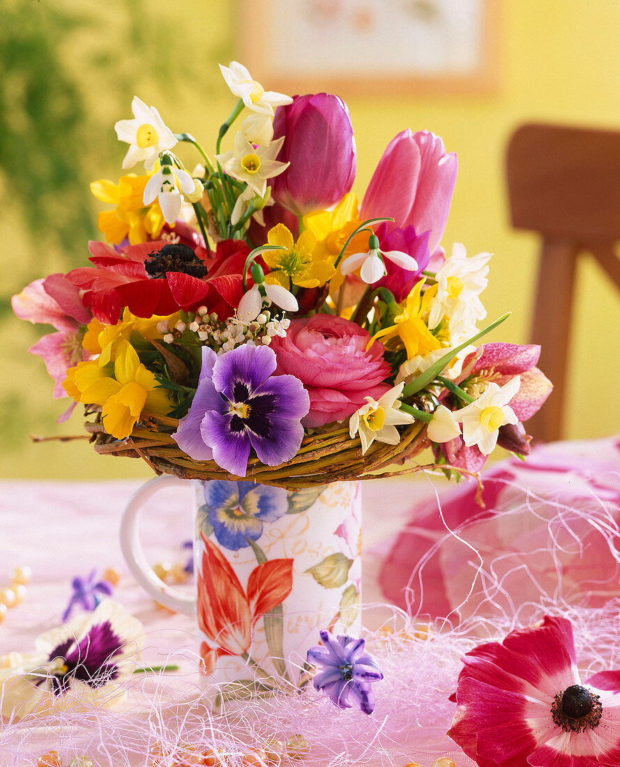 Anemone, Narcissus, Viola (Stiefmütterchen, Ranunculus)