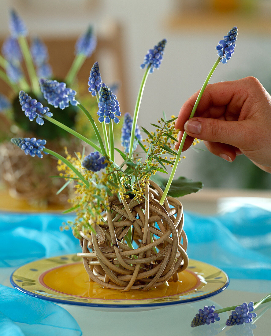 Willow ball with muscari and acacia