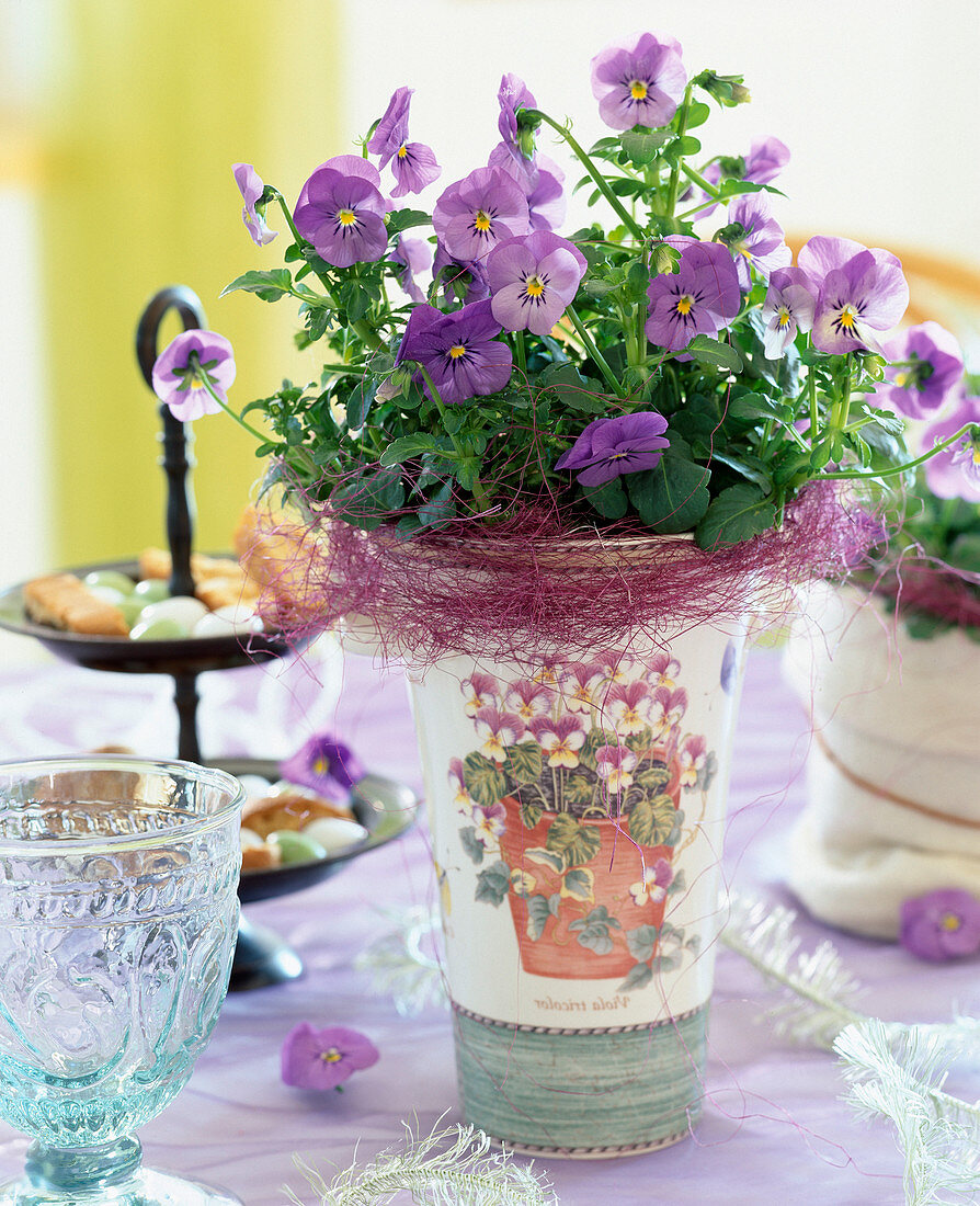 Viola cornuta (horned violet in vase with same motif)