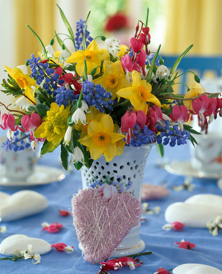 Narcissus, Muscari (Traubenhyazinthe), Dicentra (Tränendes Herz)