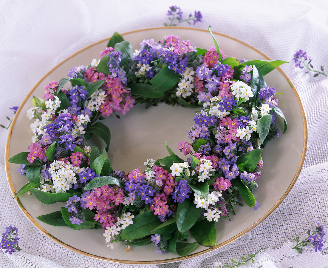 Plate of forget-me-nots in three colours